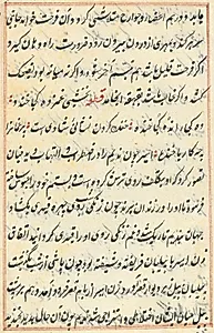 Page from Tales of a Parrot (Tuti-nama): text page by Unknown Artist