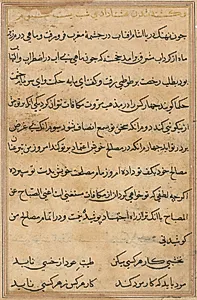 Page from Tales of a Parrot (Tuti-nama): text page by Unknown Artist