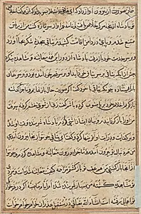 Page from Tales of a Parrot (Tuti-nama): text page by Unknown Artist