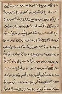 Page from Tales of a Parrot (Tuti-nama): text page by Unknown Artist