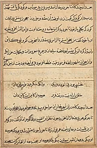 Page from Tales of a Parrot (Tuti-nama): text page by Unknown Artist