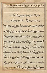Page from Tales of a Parrot (Tuti-nama): text page by Unknown Artist