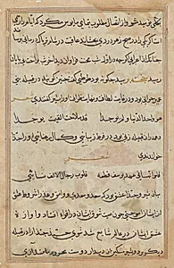 Page from Tales of a Parrot (Tuti-nama): text page by Unknown Artist