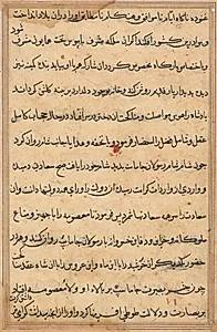 Page from Tales of a Parrot (Tuti-nama): text page by Unknown Artist