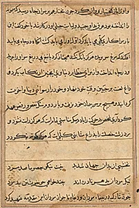 Page from Tales of a Parrot (Tuti-nama): text page by Unknown Artist