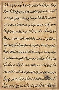 Page from Tales of a Parrot (Tuti-nama): text page by Unknown Artist