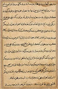 Page from Tales of a Parrot (Tuti-nama): text page by Unknown Artist