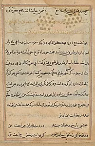 Page from Tales of a Parrot (Tuti-nama): text page by Unknown Artist