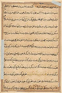 Page from Tales of a Parrot (Tuti-nama): text page by Unknown Artist