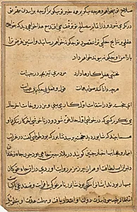 Page from Tales of a Parrot (Tuti-nama): text page by Unknown Artist