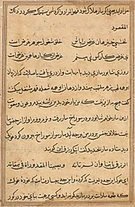 Page from Tales of a Parrot (Tuti-nama): text page by Unknown Artist