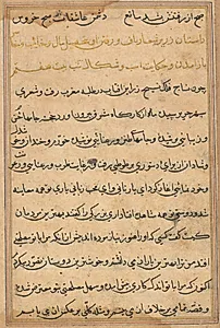 Page from Tales of a Parrot (Tuti-nama): text page by Unknown Artist