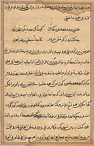 Page from Tales of a Parrot (Tuti-nama): text page by Unknown Artist