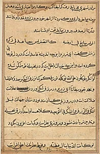 Page from Tales of a Parrot (Tuti-nama): text page by Unknown Artist