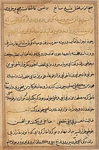 Page from Tales of a Parrot (Tuti-nama): text page by Unknown Artist