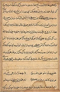 Page from Tales of a Parrot (Tuti-nama): text page by Unknown Artist