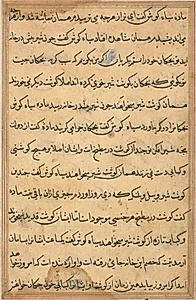 Page from Tales of a Parrot (Tuti-nama): text page by Unknown Artist