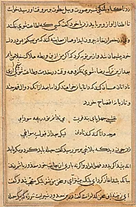 Page from Tales of a Parrot (Tuti-nama): text page by Unknown Artist
