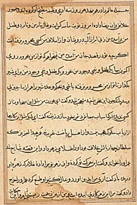 Page from Tales of a Parrot (Tuti-nama): text page by Unknown Artist