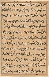 Page from Tales of a Parrot (Tuti-nama): text page by Unknown Artist