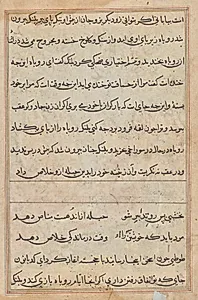 Page from Tales of a Parrot (Tuti-nama): text page by Unknown Artist