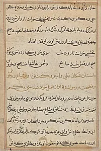 Page from Tales of a Parrot (Tuti-nama): text page by Unknown Artist
