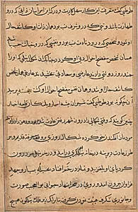 Page from Tales of a Parrot (Tuti-nama): text page by Unknown Artist