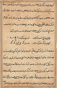 Page from Tales of a Parrot (Tuti-nama): text page by Unknown Artist