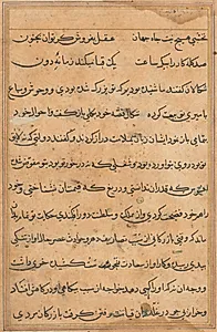 Page from Tales of a Parrot (Tuti-nama): text page by Unknown Artist