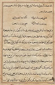 Page from Tales of a Parrot (Tuti-nama): text page by Unknown Artist