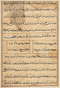 Page from Tales of a Parrot (Tuti-nama): text page by Unknown Artist