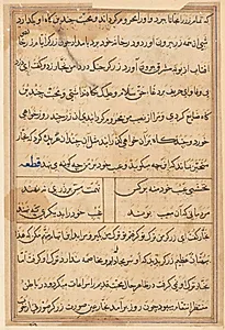 Page from Tales of a Parrot (Tuti-nama): text page by Unknown Artist
