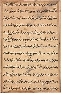 Page from Tales of a Parrot (Tuti-nama): text page by Unknown Artist
