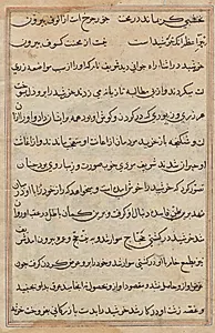 Page from Tales of a Parrot (Tuti-nama): text page by Unknown Artist