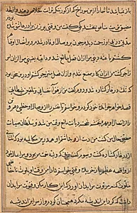Page from Tales of a Parrot (Tuti-nama): text page by Unknown Artist