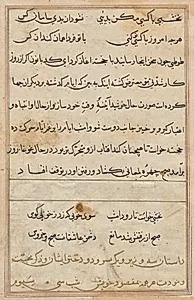 Page from Tales of a Parrot (Tuti-nama): text page by Unknown Artist