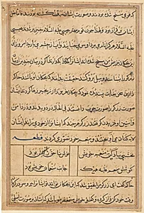 Page from Tales of a Parrot (Tuti-nama): text page by Unknown Artist