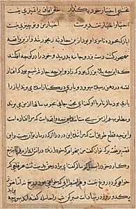 Page from Tales of a Parrot (Tuti-nama): text page by Unknown Artist