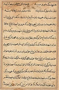 Page from Tales of a Parrot (Tuti-nama): text page by Unknown Artist