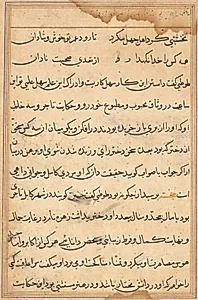Page from Tales of a Parrot (Tuti-nama): text page by Unknown Artist