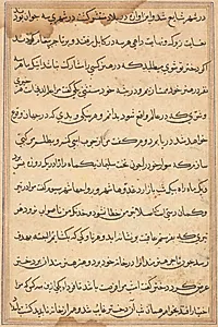 Page from Tales of a Parrot (Tuti-nama): text page by Unknown Artist