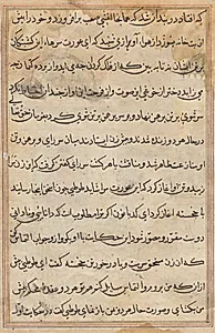 Page from Tales of a Parrot (Tuti-nama): text page by Unknown Artist