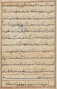 Page from Tales of a Parrot (Tuti-nama): text page by Unknown Artist