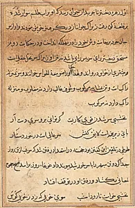 Page from Tales of a Parrot (Tuti-nama): text page by Unknown Artist