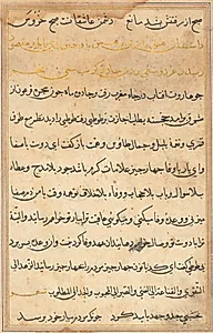 Page from Tales of a Parrot (Tuti-nama): text page by Unknown Artist