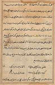 Page from Tales of a Parrot (Tuti-nama): text page by Unknown Artist