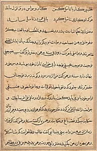 Page from Tales of a Parrot (Tuti-nama): text page by Unknown Artist