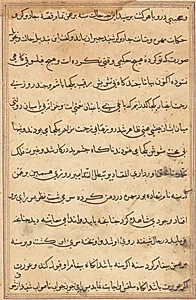 Page from Tales of a Parrot (Tuti-nama): text page by Unknown Artist