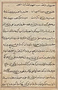 Page from Tales of a Parrot (Tuti-nama): text page by Unknown Artist
