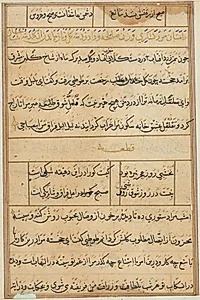 Page from Tales of a Parrot (Tuti-nama): text page by Unknown Artist